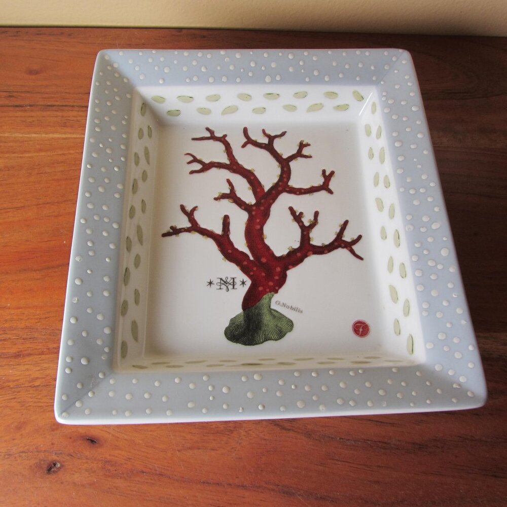 3 for $40 - g. nobilis red coral trinket dish plate fringe studio (W6251)